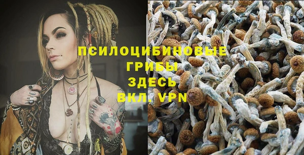 бутират Козловка