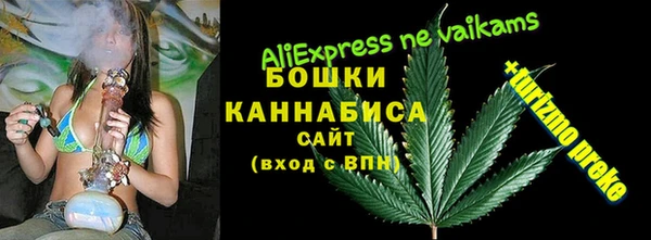 МДПВ Козельск